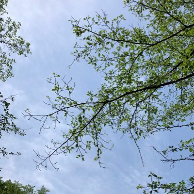 しゅみびとさんのプロフィール画像