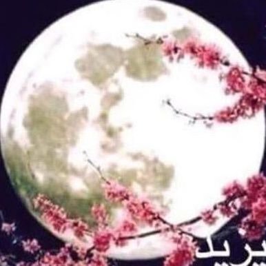 هـي الاقـدار وستجـري ڪمـا ڪتبت فـ يارب هـب لنـا مـن الاقـدار اجملهـا