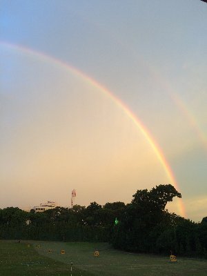 太陽光発電メインでリタイヤした53歳元サラリーマン。 太陽光発電所15基稼働中、区分賃貸２部屋稼働中。今は筋トレ🏋️とワンコの散歩がメイン業務☺️☆2021年4月サラ卒しました！