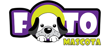 fotomascota's profile picture. 