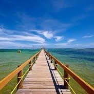 Experience Fiji (@experiencefiji) 's Twitter Profile