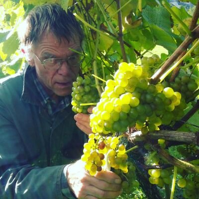 Artisan vineyard in Cornwall. Welcomes visitors, tours+tastings, Easte to October. Bookings  via our website or 07792538442.
http://www.looevalleyvineyard.