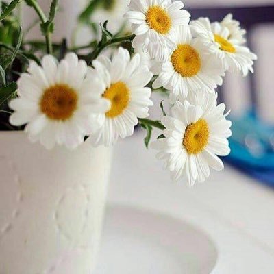 HPpcI65AK6yiIwi's profile picture. اللهم إني أسالك الجنه❤️