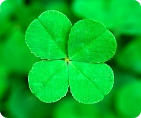 seolee282's profile picture. 