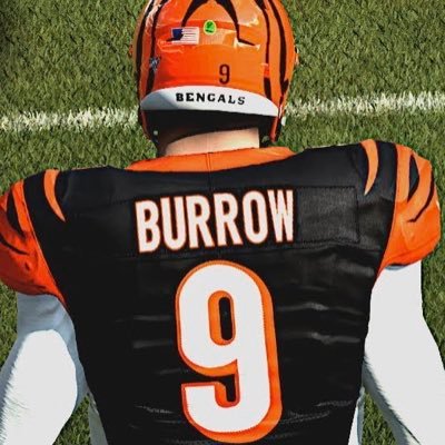 Just a Cincinnati Bengals Fan - Best team in Ohio 🐅 Follows returned