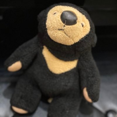まれお(モンスイユ/マレーちゃんSS/12歳)とその家族、仲間たちの生活。まれおの父がお届けします。ᴍᴀʀᴇᴏ (ᴀ ᴛᴡᴇʟᴠᴇ ʏᴇᴀʀ-ᴏʟᴅ sᴜɴ ʙᴇᴀʀ ʙᴏʏ) , ʜɪs ғᴀᴍɪʟʏ ᴀɴᴅ ʜɪs ғʀɪᴇɴᴅs. ᴘᴏsᴛᴇᴅ ʙʏ ᴍᴀʀᴇᴏ's ʜᴜᴍᴀɴ ғᴀᴛʜᴇʀ🇯🇵🗾