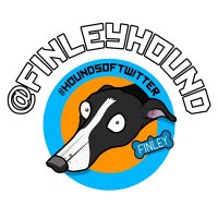 Finley the Greyhound(@FinleyHound) 's Twitter Profile Photo