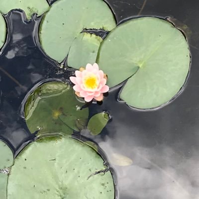 TKawulicz's profile picture. 