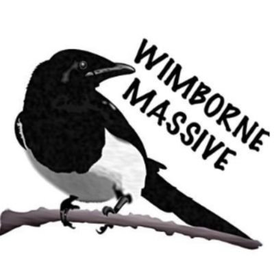 The Wimborne Massive