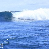 ひーたろー (@cf6xv7oytetrxp5) Twitter profile photo