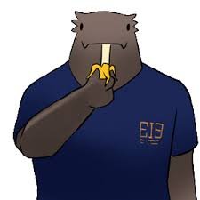 Shoockzz's profile picture. Mylittlepony is not a hobby, it is a way of life