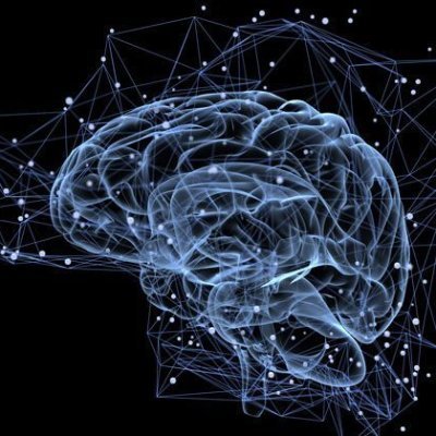 Data_Gig's profile picture. Let's go to learn NLP!