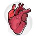 Cardiac EP| كهرباء القلب (@cardiac_ep) Twitter profile photo Cardiac EP| كهرباء القلب (@cardiac_ep) Twitter profile photo