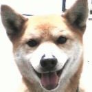 ゆみっきー🐨🧀🧚‍♂️劇団の人さんのプロフィール画像