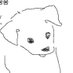 보리꼬리 (@shuen_7) Twitter profile photo 보리꼬리 (@shuen_7) Twitter profile photo