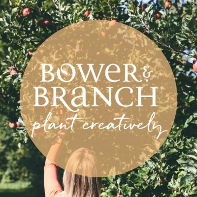 Our large trees + plants are grown, cared for, delivered & planted by families like yours. Plant creatively with Bower & Branch.