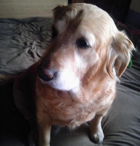 mayu_94's profile picture. 普通です。2013/3/3に長女、2015/6/12に二女を出産しました。特技/おかわり