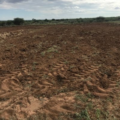 gpramaloto's profile picture. questioner. answerer.