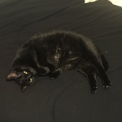 Anti-Fascist AF, gaymer, and discourse w/ porn and politics. Politically challenged.
