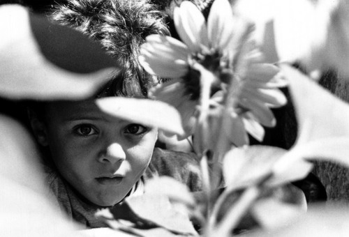 atariawbwuco's profile picture. 'Leaked' video reveals how this once homeless 'van man' and ex-construction worker discovered this lucrative solution to the complicated online marketing world