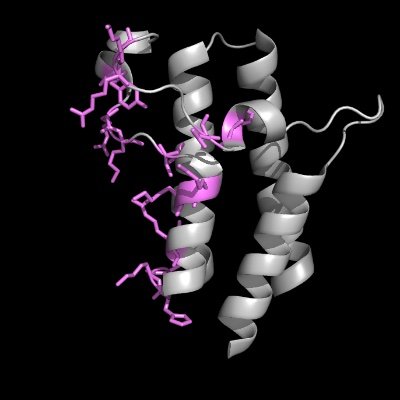 Catherine Musselman is an Associate Professor @CUAnschutz. The Musselman Lab (https://t.co/bVwWPfI3bg) studies structural mechanisms of chromatin signaling.