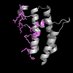 Musselman Lab (@musselmanlab) Twitter profile photo Musselman Lab (@musselmanlab) Twitter profile photo