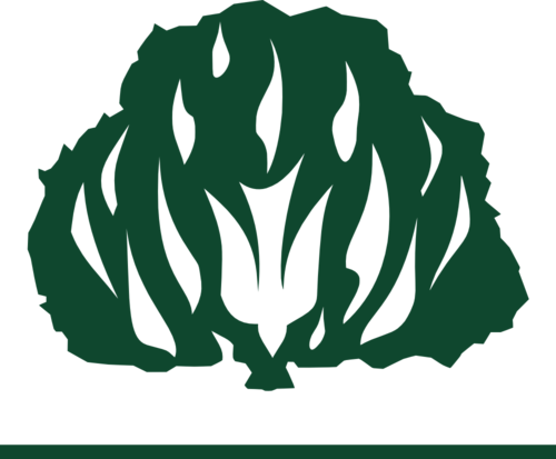 ipbbarreirinha's profile picture. Igreja Presbiteriana do Brasil -  Sede no bairro do Barreirinha em Curitiba no estado do Paraná