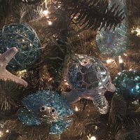 Deborah Mongato (@debmongato) 's Twitter Profile Photo