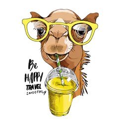 Inkubator47's profile picture. Amis du sahara