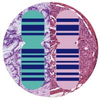 The Gorringe Lab (@gorringelab) 's Twitter Profile