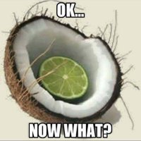 OhNoYouDidnt (@ohnou2didnt) 's Twitter Profile