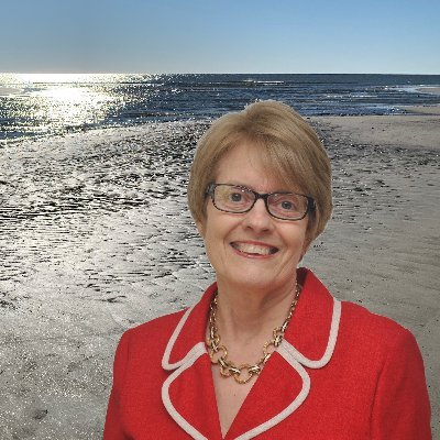 Real estate agent in the Lowcountry of Bluffton and Hilton Head Island, SC; a wife, mother, grandmother, and a Friend of Bill's.