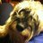 laughinboy's profile image