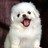Topsh20's profile image