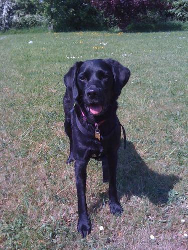 WellyKate's profile picture. 