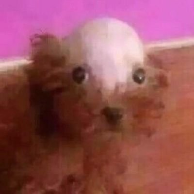 biancaisbaby's profile picture. 