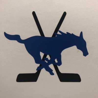 HockeyNorwood Profile Picture