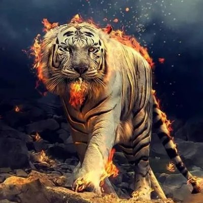 Unacademy1's profile picture. I will do for my dream ...writing poetry