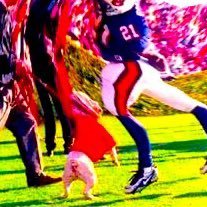 I’m gonna pet UGA Profile