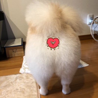 ちとせさんのプロフィール画像