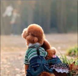 jesssituym's profile picture. Suffer what there is to suffer, enjoy what there is to enjoy. Regard both suffering and joy as facts of life. Always have FAITH, no matter what happens.