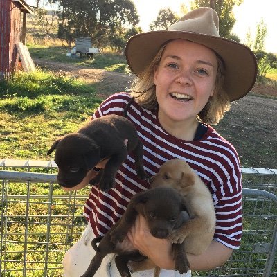 maplesooners's profile picture. 