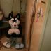 Gregory-The-Husky (@gregorythehusky) Twitter profile photo Gregory-The-Husky (@gregorythehusky) Twitter profile photo