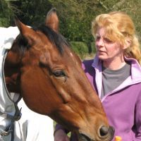 A writer.I write for Pony & I've written for Horse & Rider, Equestrian Life & Ireland's H&P.I'm Agony Aunt for @PONY_Mag Try my #SYH schooling guides