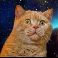 wawawa (@best_videos777) 's Twitter Profile Photo