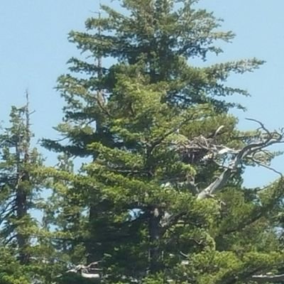 moredots2's profile picture. Computer scientist, outdoorsman, family man. Stop falling for the propaganda. Choose the free market over the labor/stock markets.