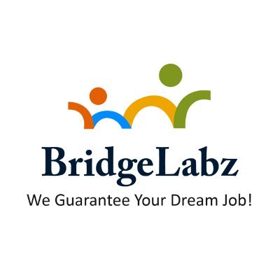 BridgeLabz's profile picture.