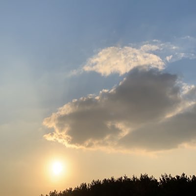 一人息子は 12歳 Daccdqzpjvyf56i Twitter 一人息子は 12歳 Daccdqzpjvyf56i Twitter