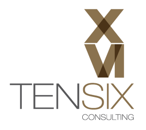 Ten Six Consulting specializes in implementing Enterprise Project Management (EPM) and Earned Value Management (EVM) with the Primavera P6 and Deltek tools