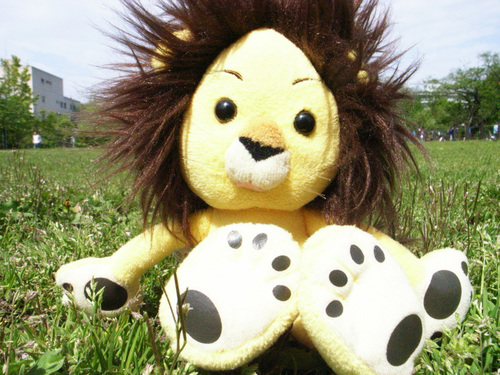 Ken's C.H.Lion